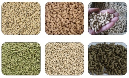 1t/h Flat Die Animal Waste Mixing Pelletizer for Poultry Feed Processing Equipment