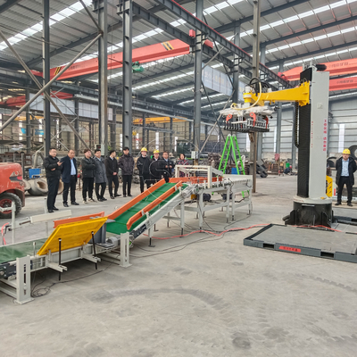 Streamlined Packaging Line Automatic Carton Palletizer with Stainless Steel Material