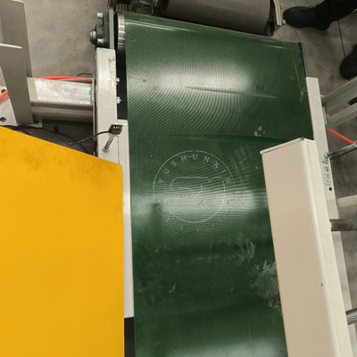 Electric Driven Type Automatic Conveying and Palletizing Line for Simple Palletizing