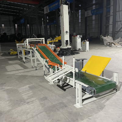Electric Driven Type Automatic Conveying and Palletizing Line for Simple Palletizing